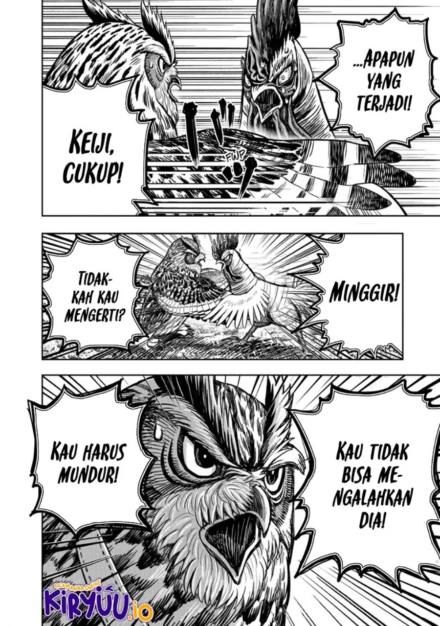 Rooster Fighter Bab 39 halaman 43