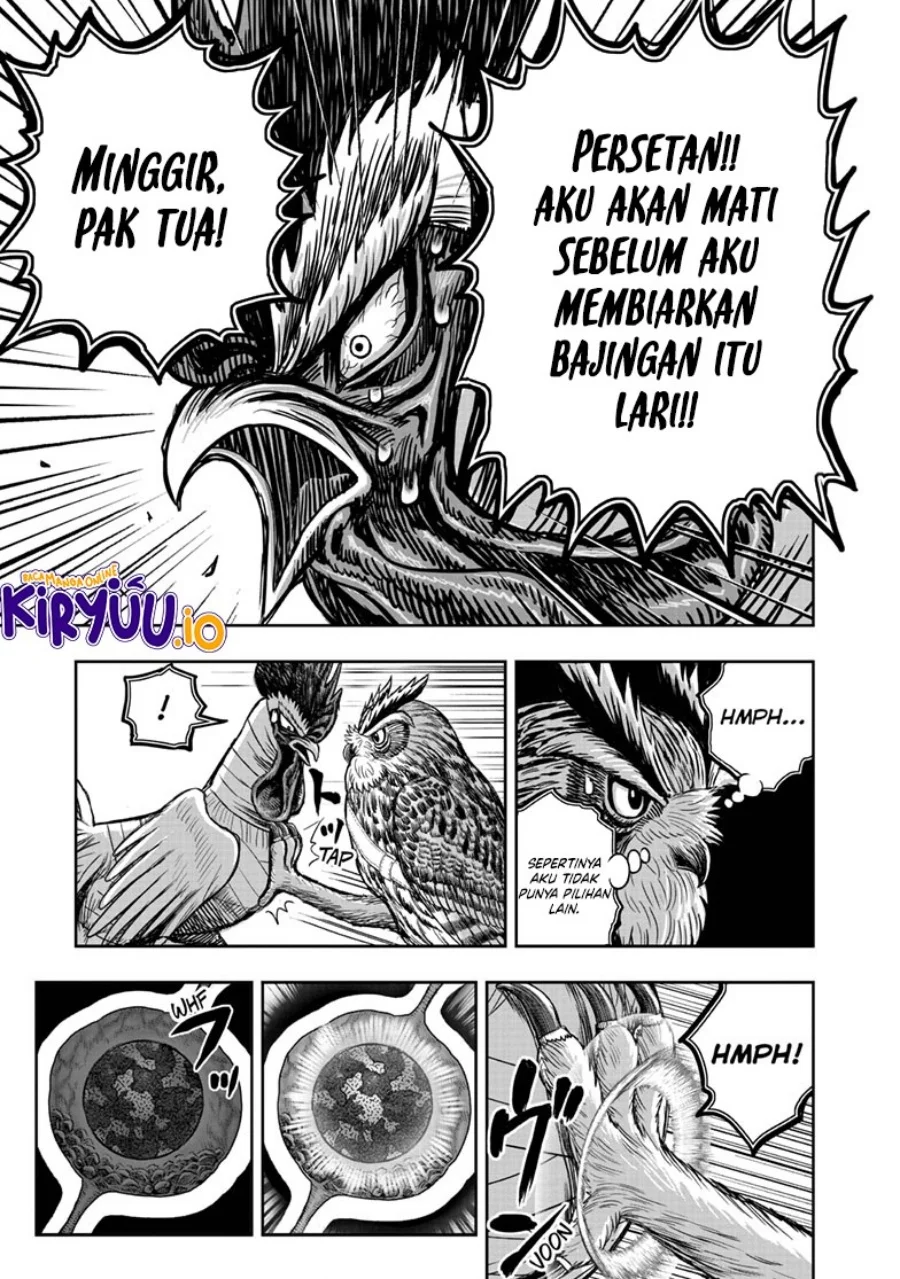 Rooster Fighter Bab 39 halaman 44