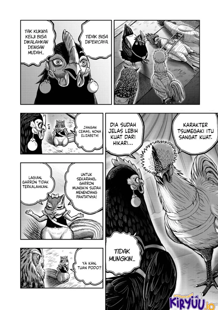 Rooster Fighter Bab 41 halaman 13