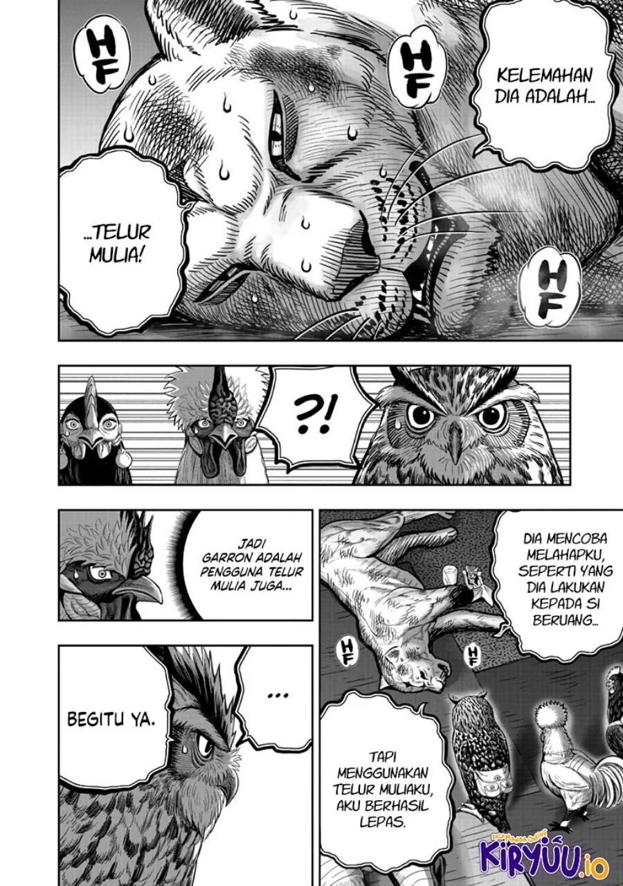 Rooster Fighter Bab 41 halaman 17