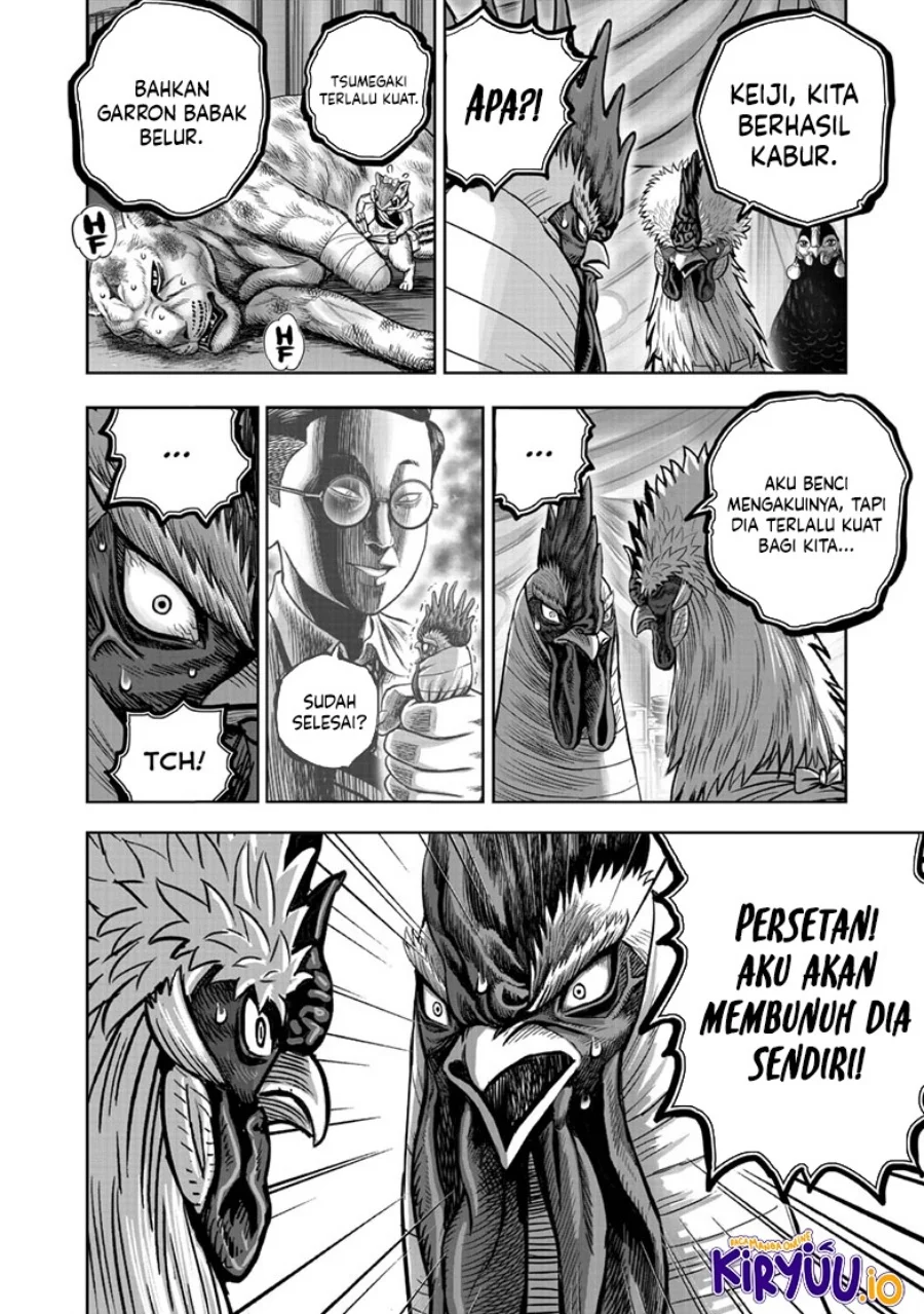 Rooster Fighter Bab 41 halaman 19
