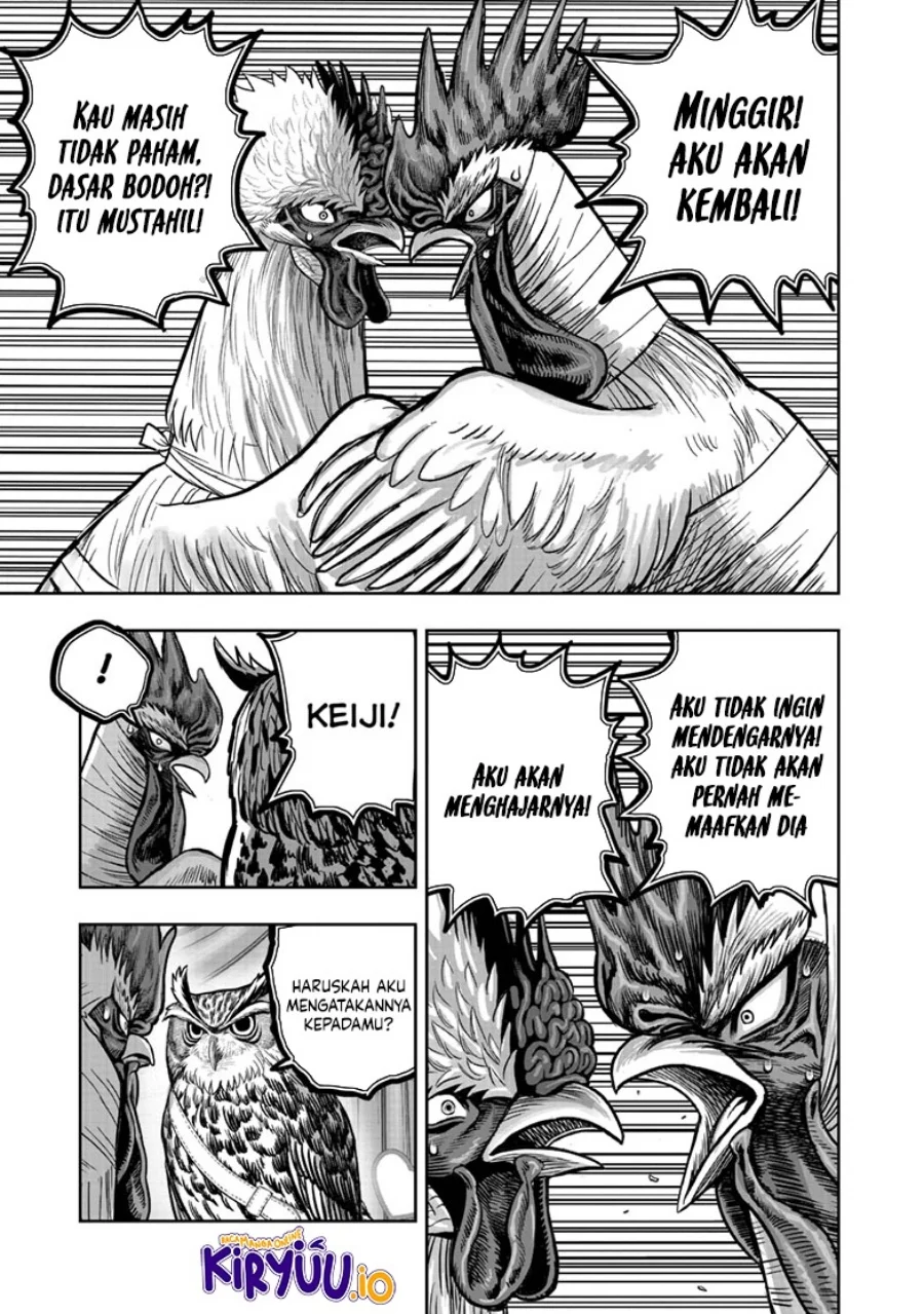 Rooster Fighter Bab 41 halaman 20