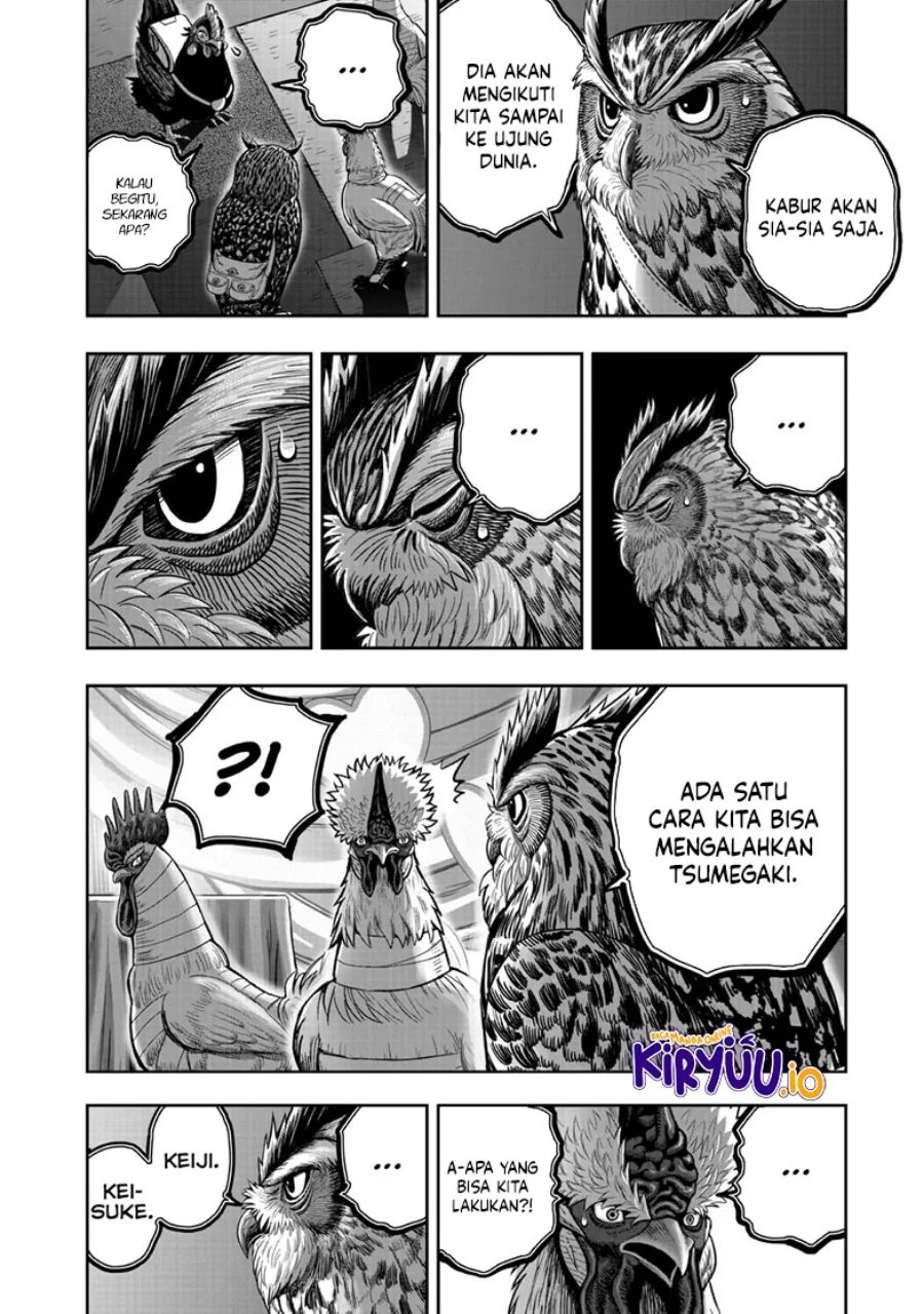 Rooster Fighter Bab 41 halaman 23