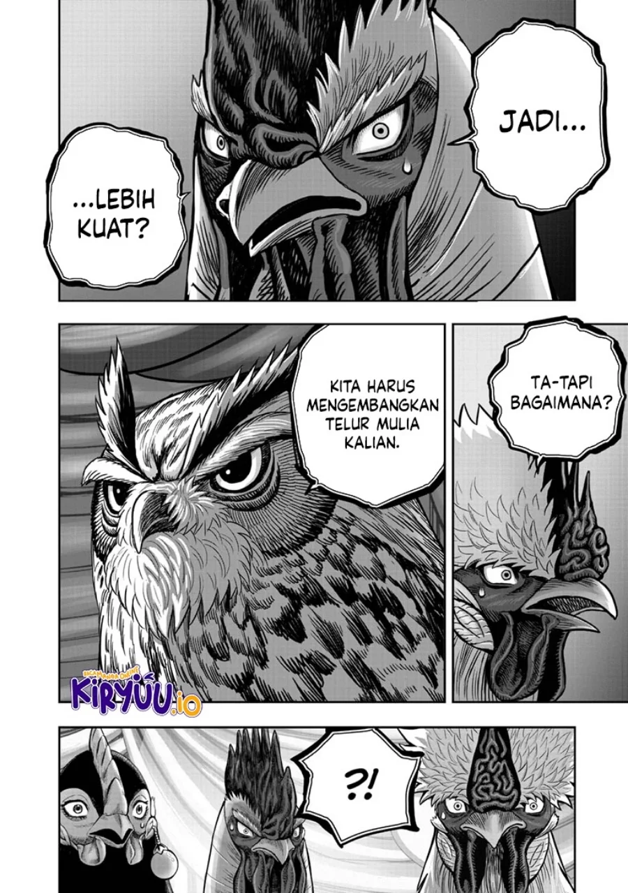 Rooster Fighter Bab 41 halaman 25