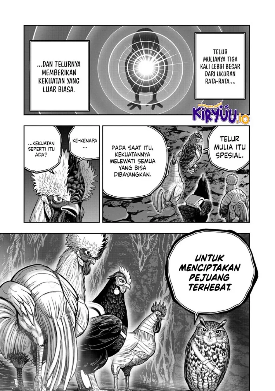 Rooster Fighter Bab 43 halaman 20