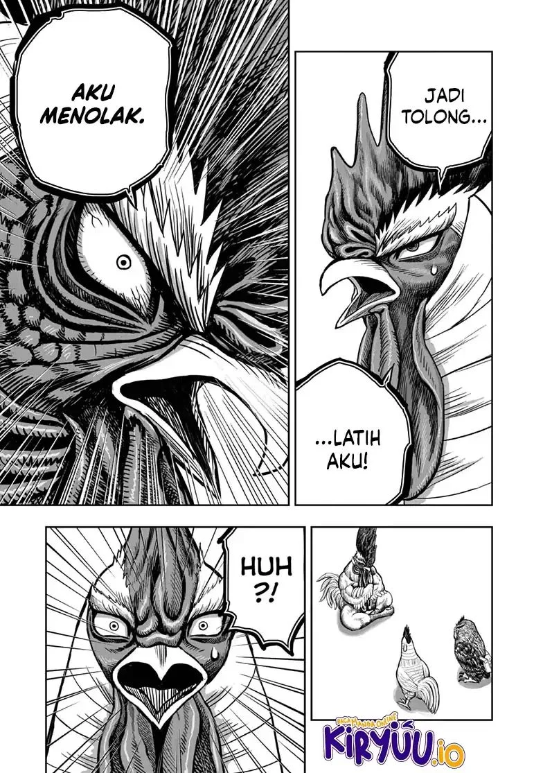 Rooster Fighter Bab 48 halaman 8