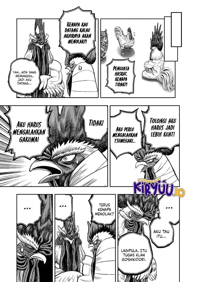 Rooster Fighter Bab 48 halaman 20