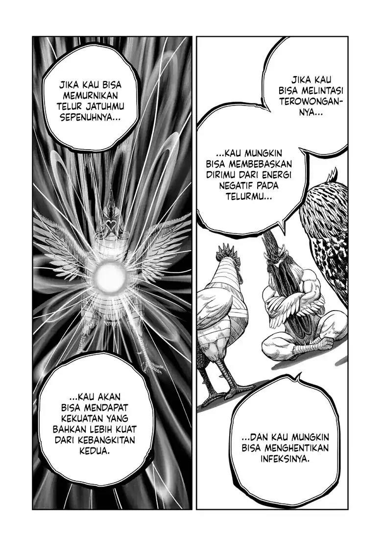 Rooster Fighter Bab 48 halaman 24