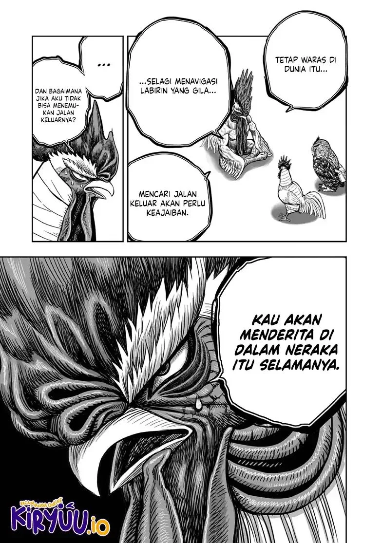 Rooster Fighter Bab 48 halaman 30