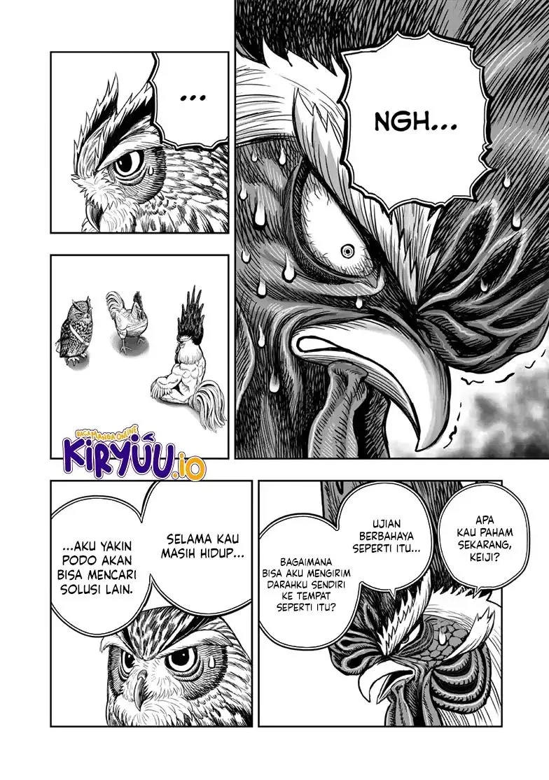 Rooster Fighter Bab 48 halaman 31