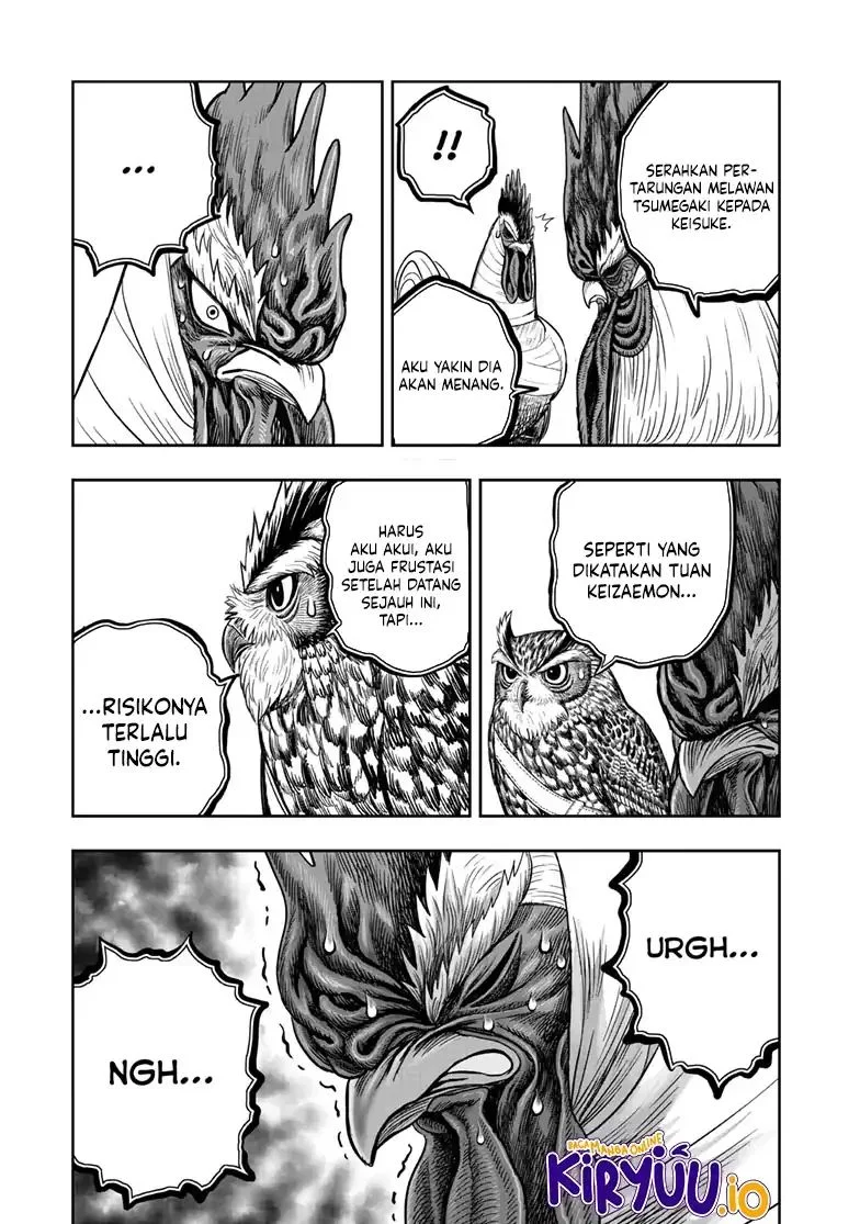 Rooster Fighter Bab 48 halaman 32