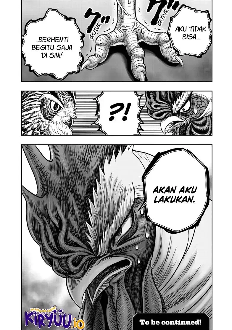 Rooster Fighter Bab 48 halaman 33