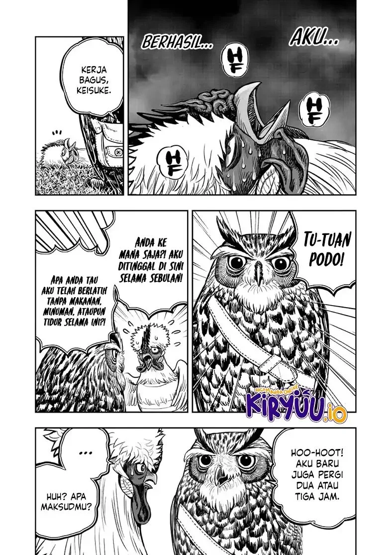 Rooster Fighter Bab 49 halaman 5