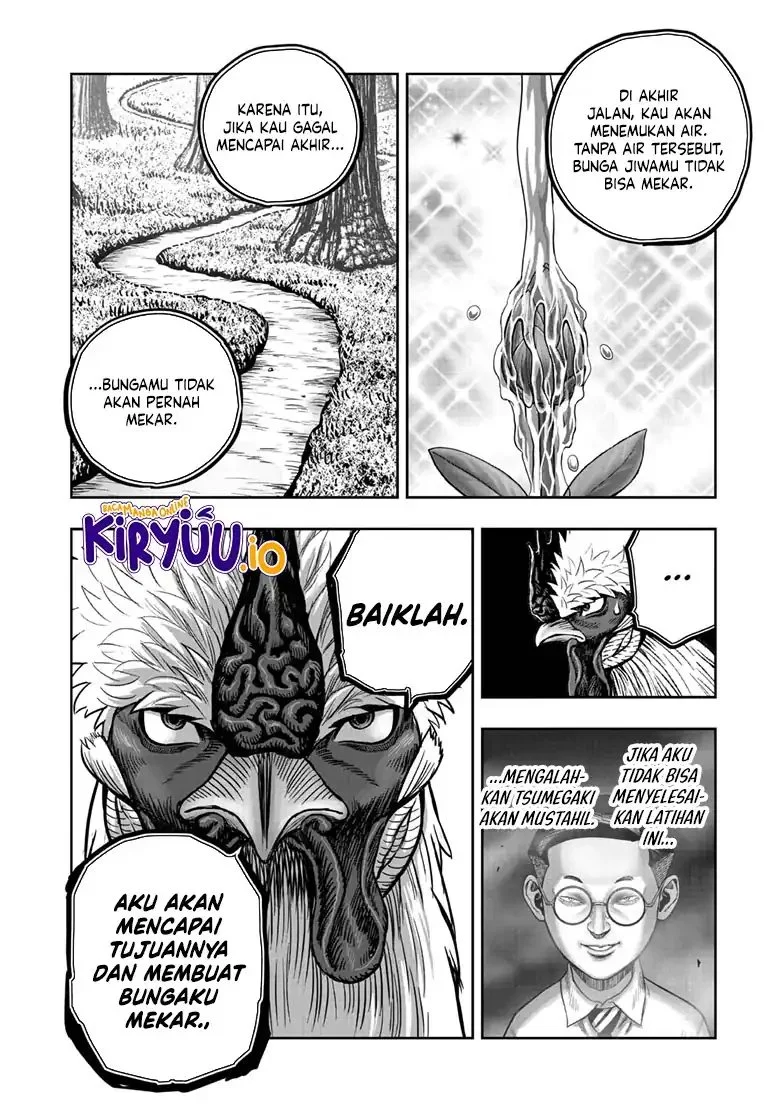 Rooster Fighter Bab 49 halaman 13