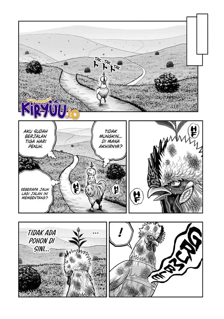 Rooster Fighter Bab 49 halaman 28