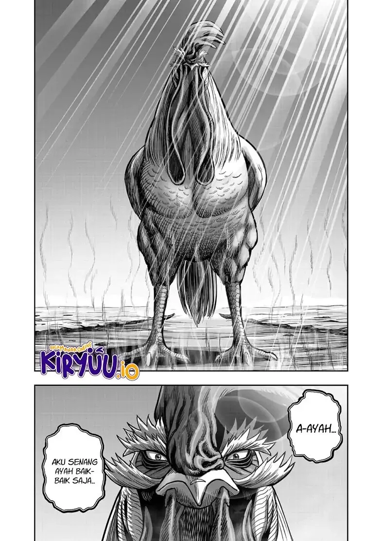 Rooster Fighter Bab 49 halaman 33