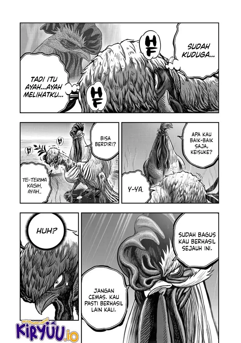 Rooster Fighter Bab 49 halaman 34