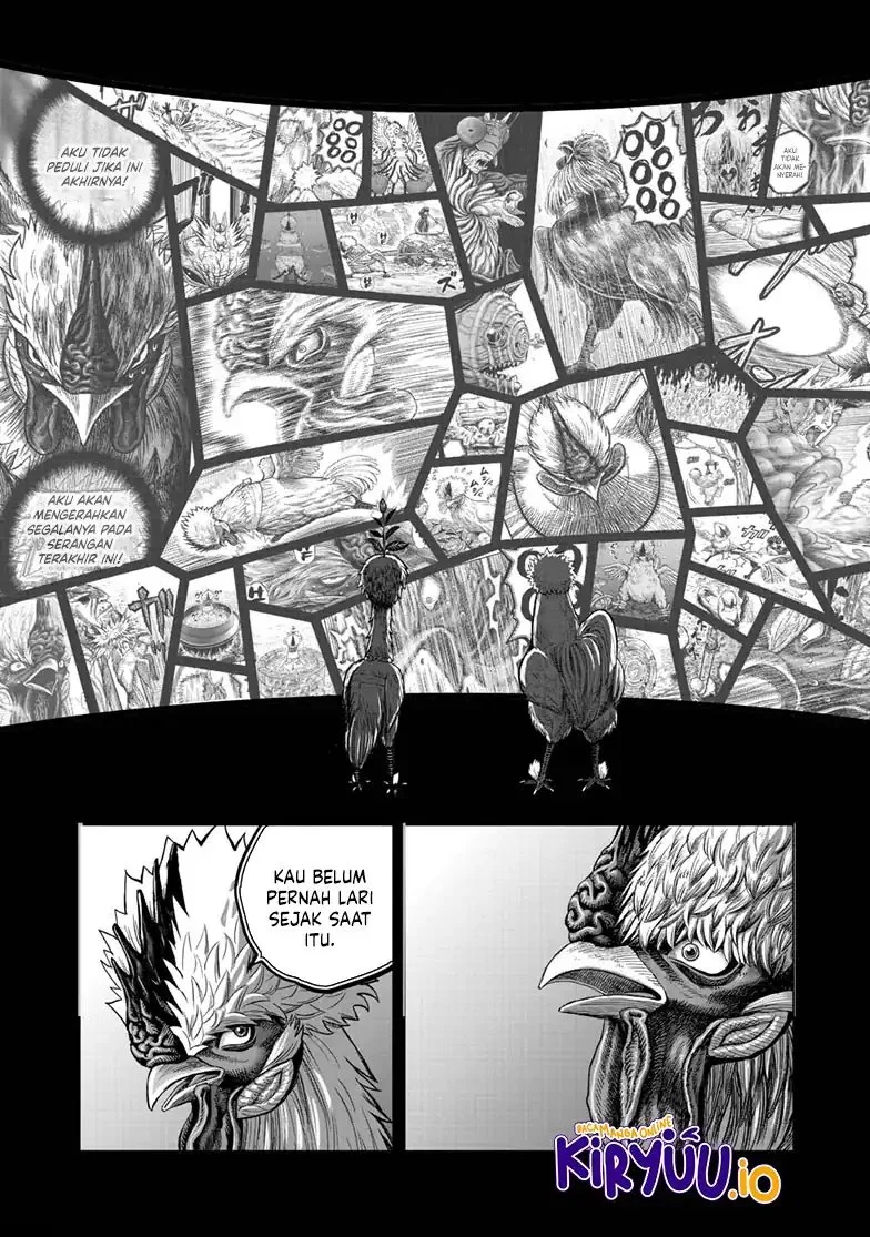 Rooster Fighter Bab 49 halaman 45
