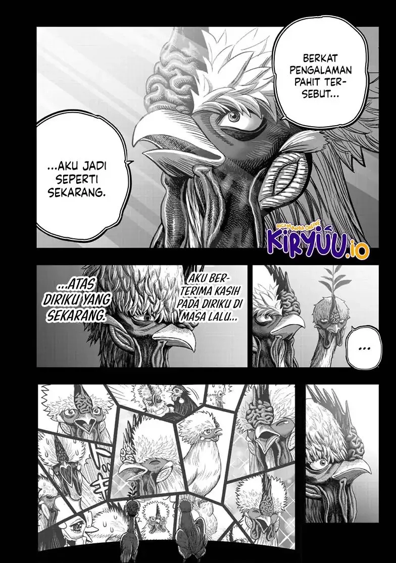 Rooster Fighter Bab 49 halaman 47