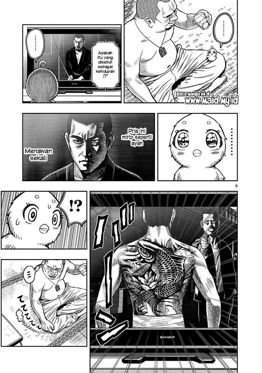 Rooster Fighter Bab 5 halaman 11
