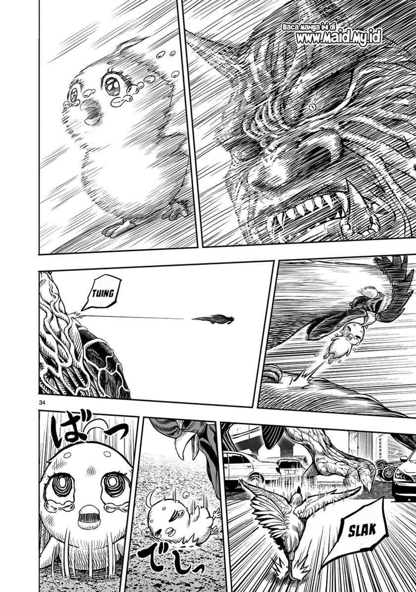 Rooster Fighter Bab 5 halaman 36