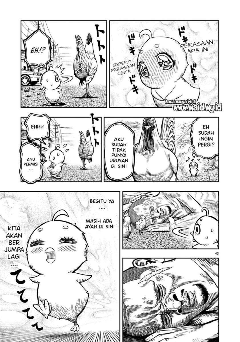Rooster Fighter Bab 5 halaman 45