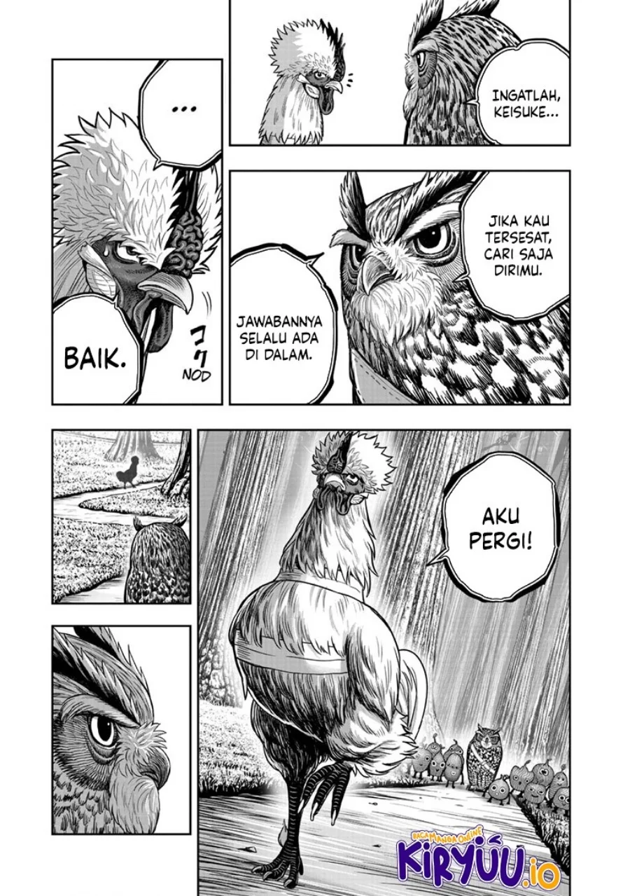 Rooster Fighter Bab 50 halaman 13