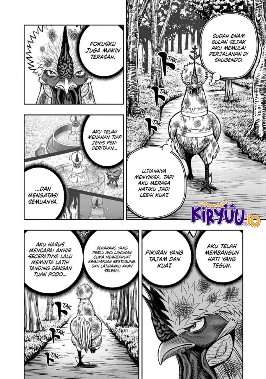 Rooster Fighter Bab 50 halaman 26