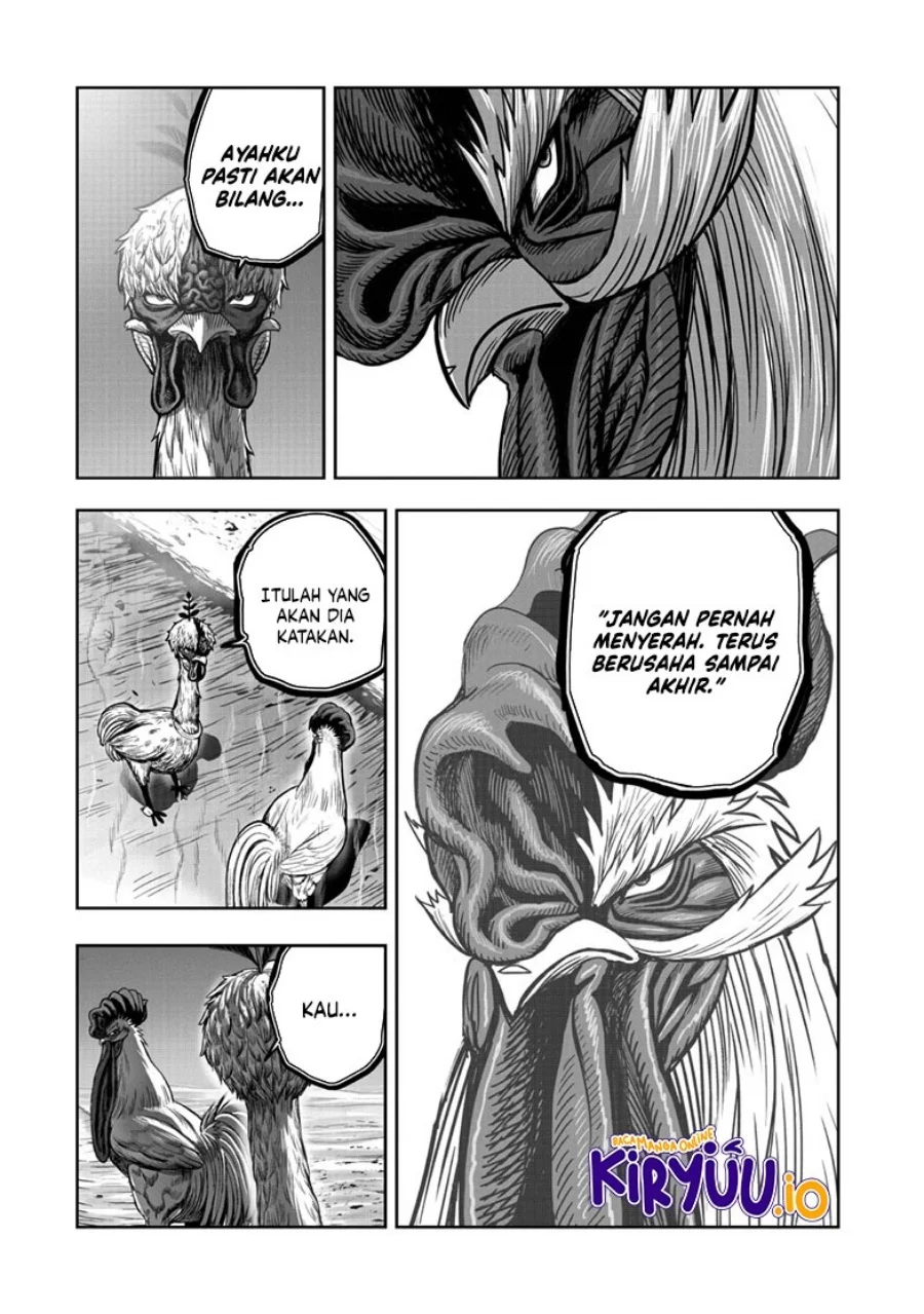 Rooster Fighter Bab 50 halaman 35