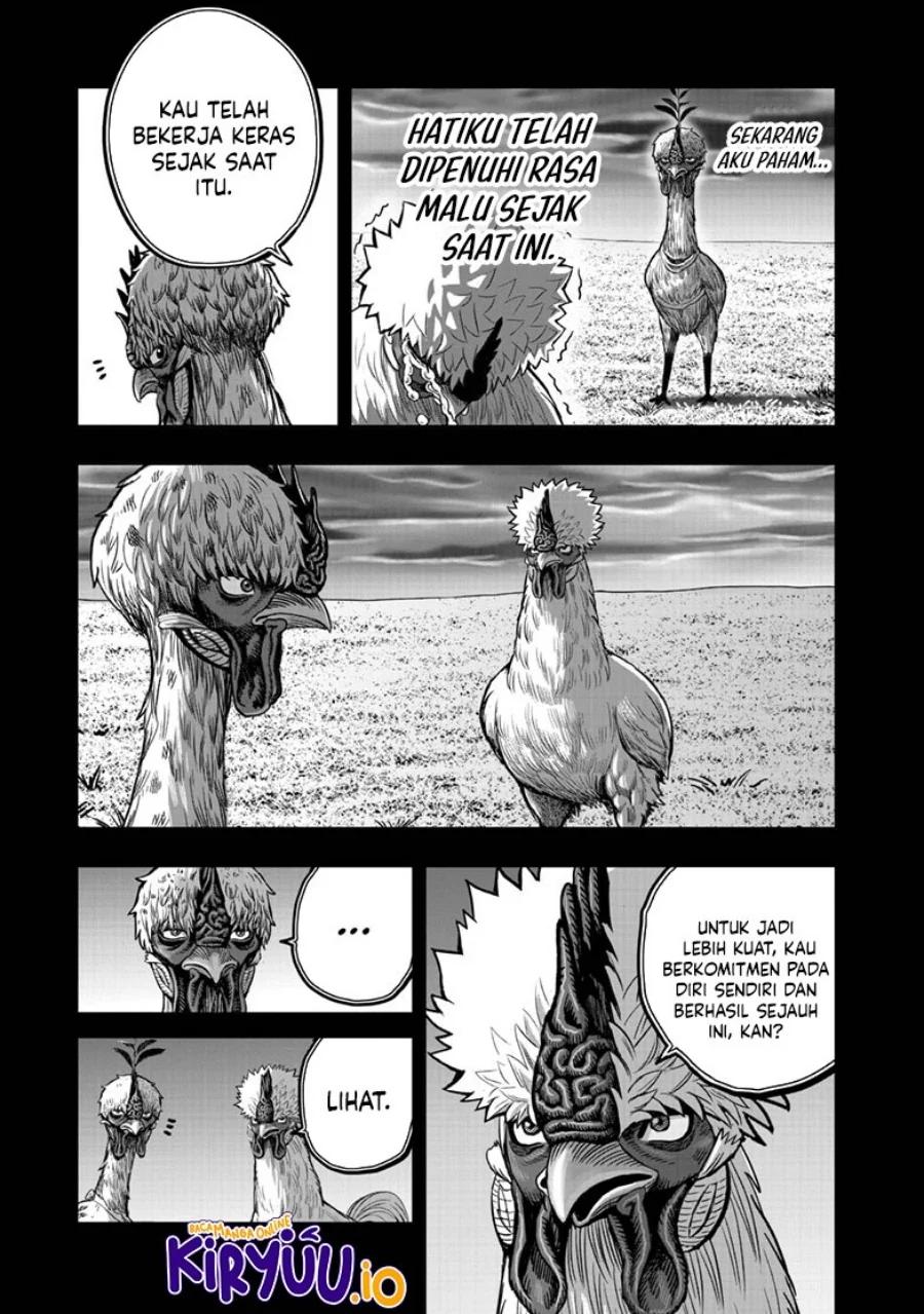 Rooster Fighter Bab 50 halaman 43
