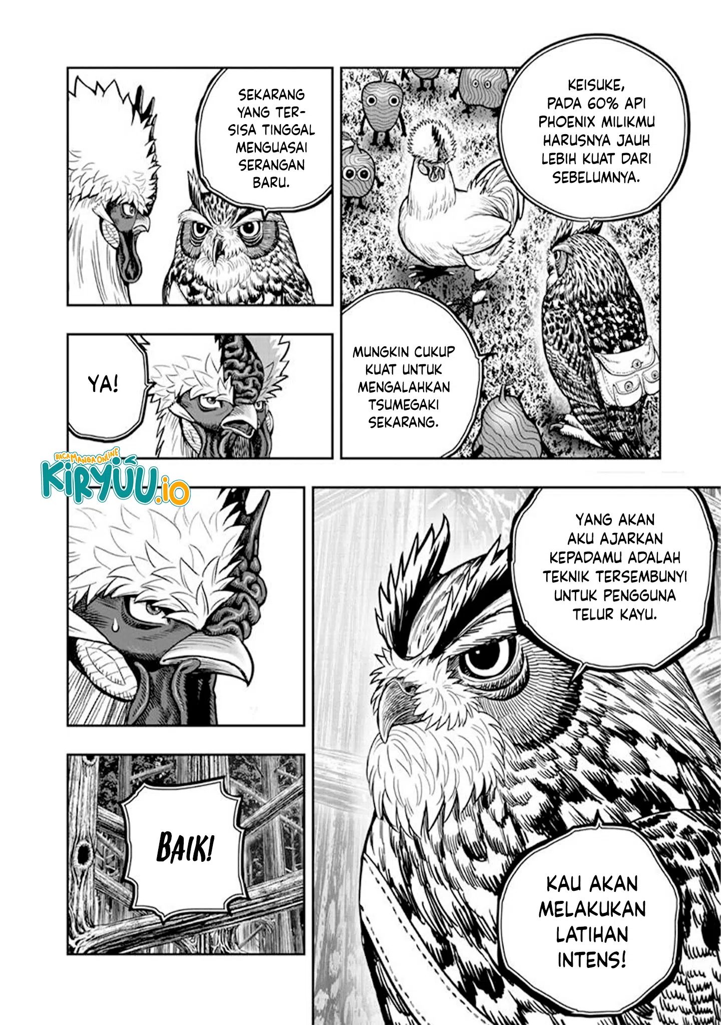 Rooster Fighter Bab 51 halaman 3