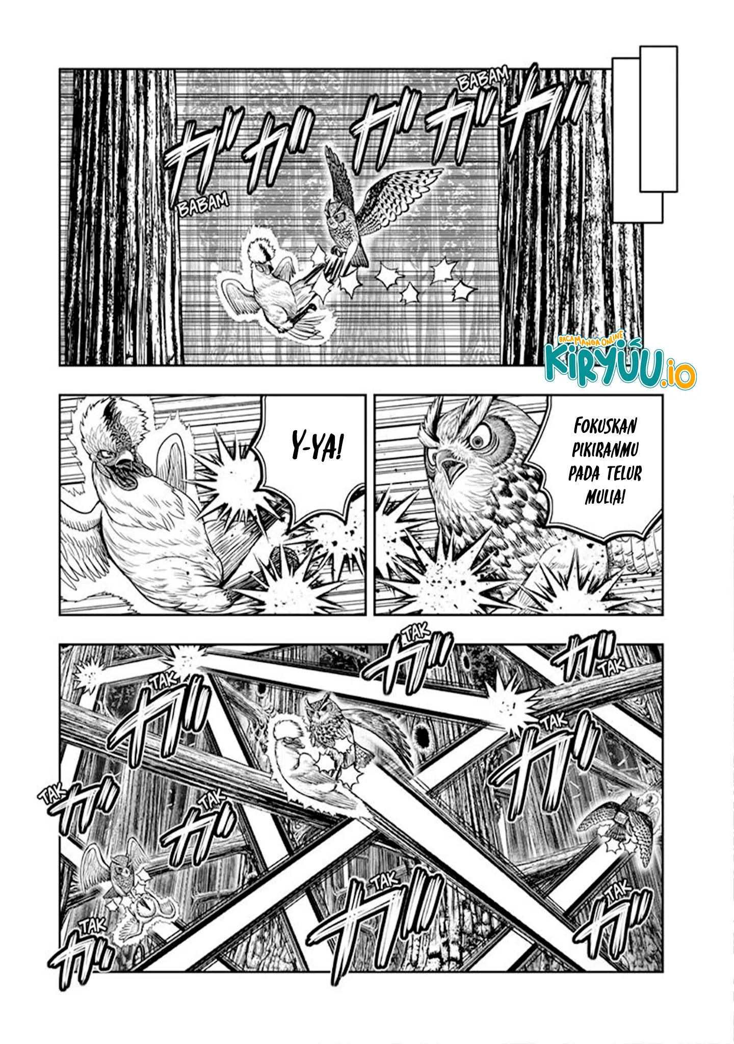 Rooster Fighter Bab 51 halaman 4