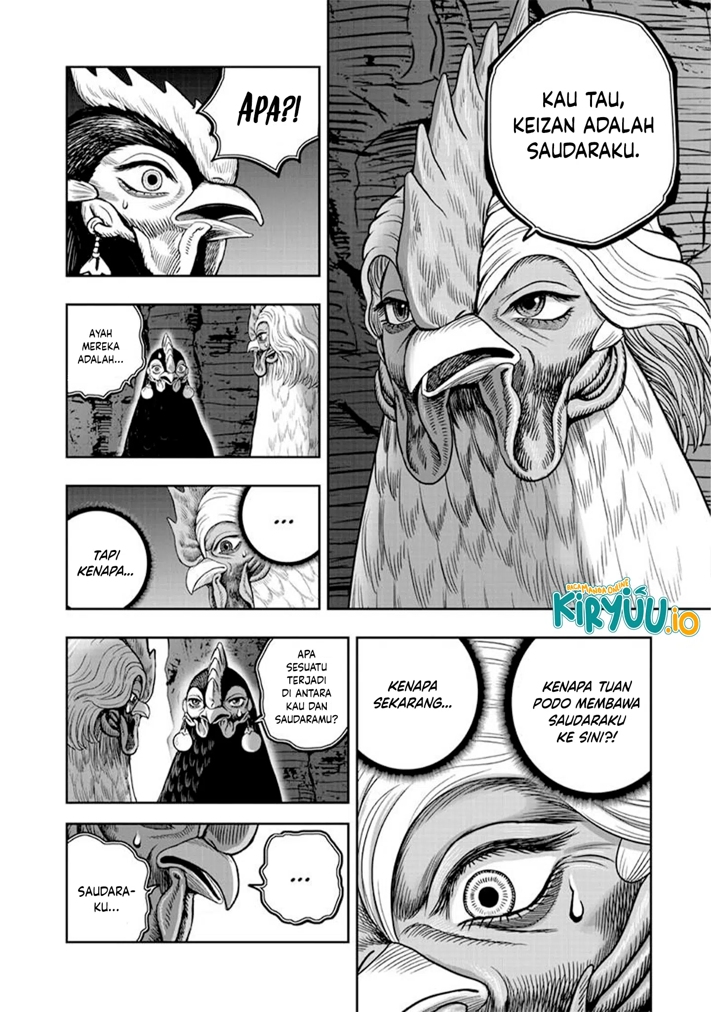 Rooster Fighter Bab 51 halaman 13
