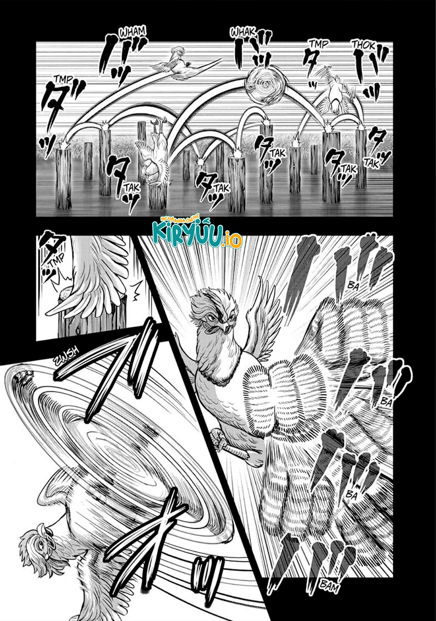 Rooster Fighter Bab 51 halaman 16