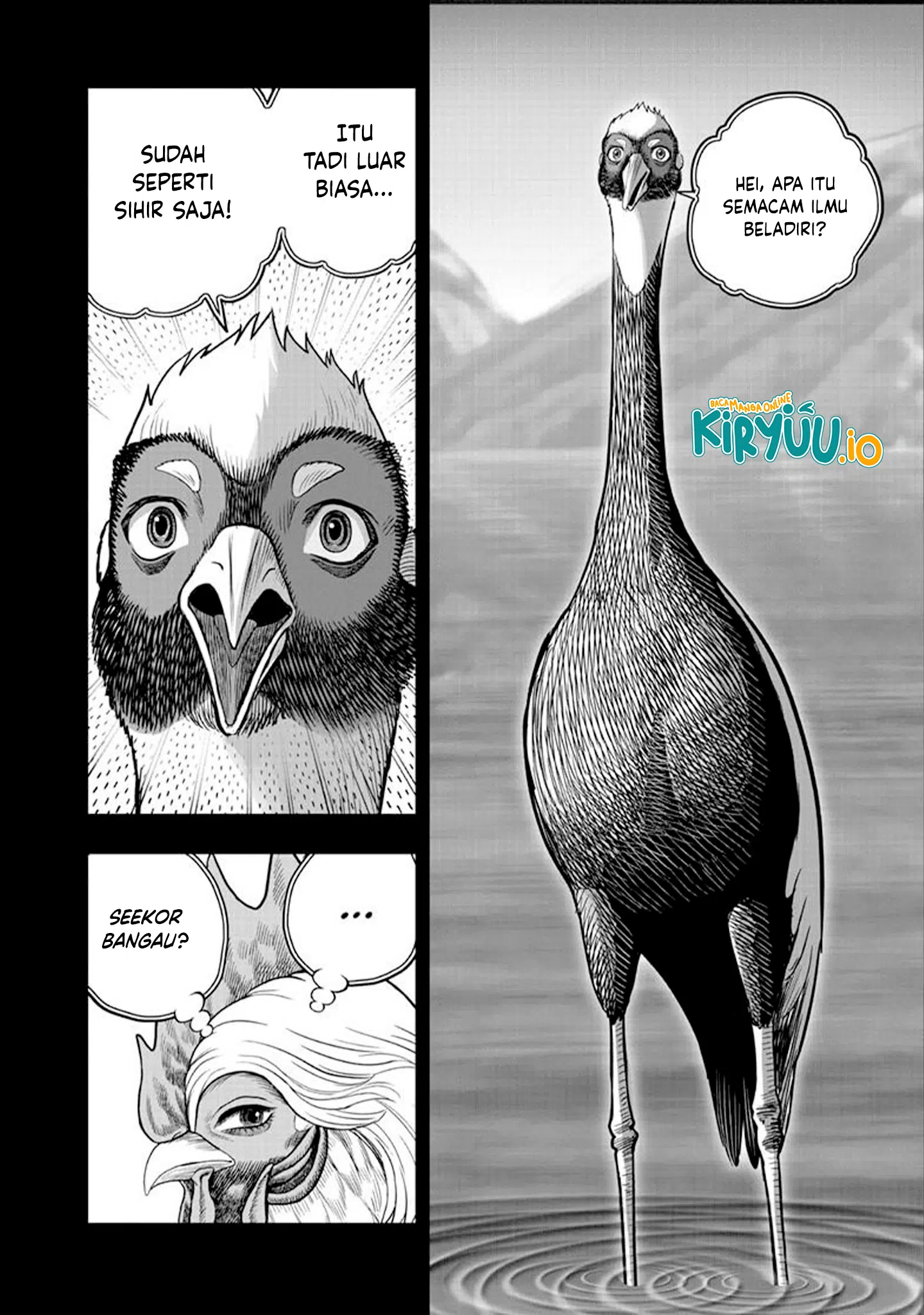 Rooster Fighter Bab 51 halaman 19