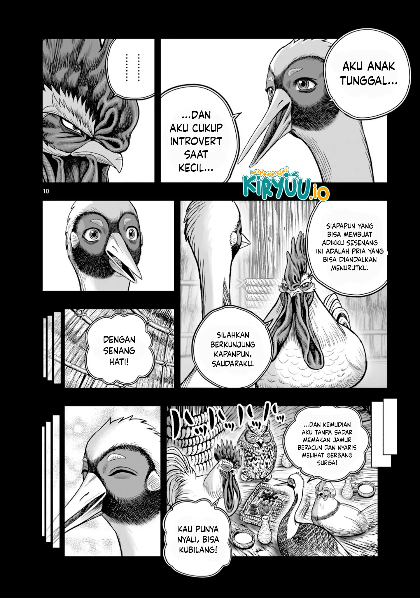 Rooster Fighter Bab 52 halaman 11