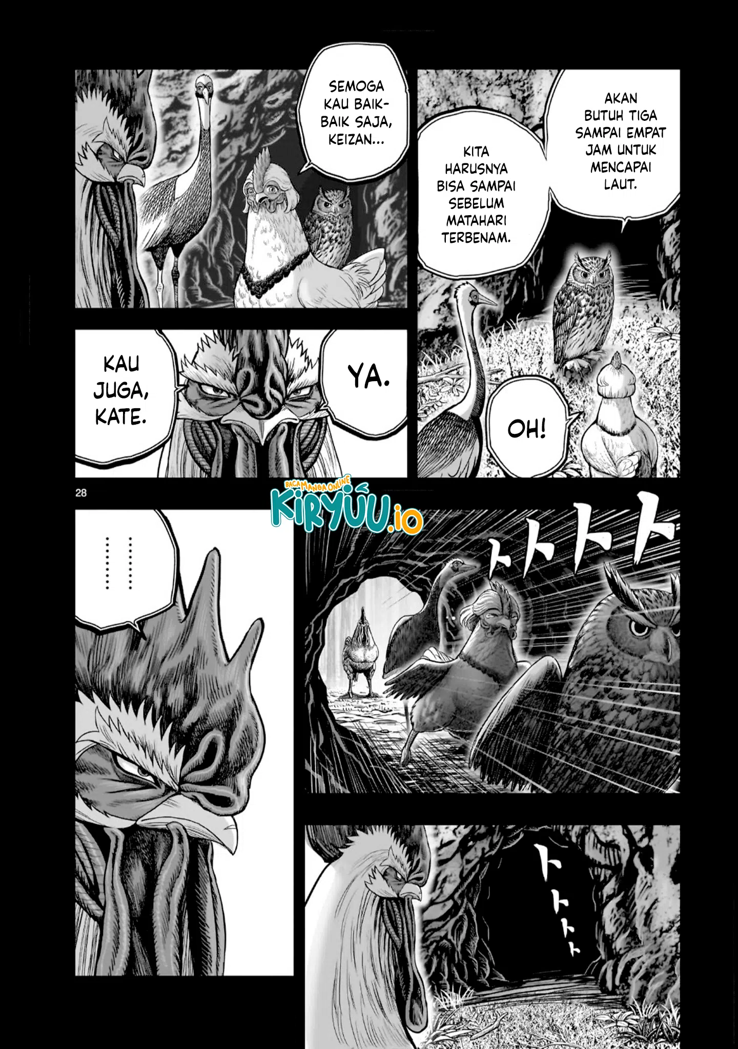 Rooster Fighter Bab 52 halaman 29