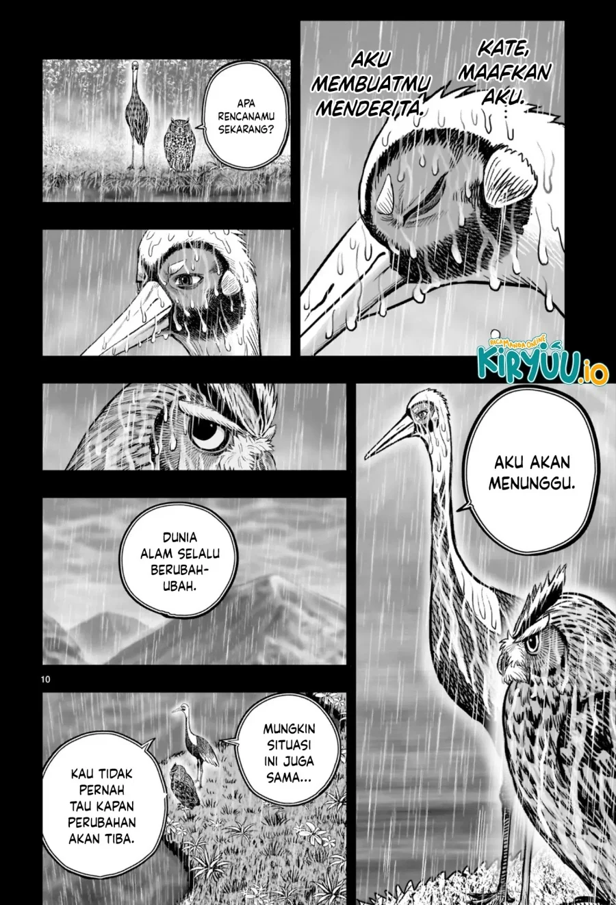 Rooster Fighter Bab 53 halaman 11