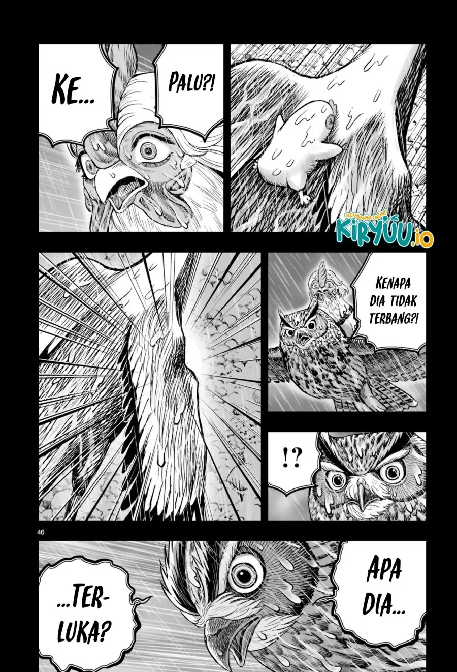 Rooster Fighter Bab 53 halaman 41