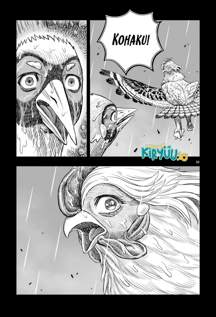 Rooster Fighter Bab 53 halaman 48