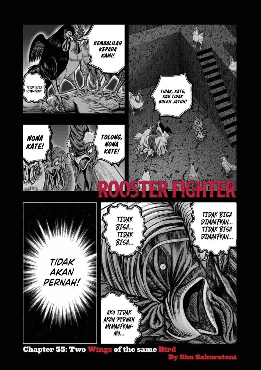 Rooster Fighter Bab 55 halaman 2