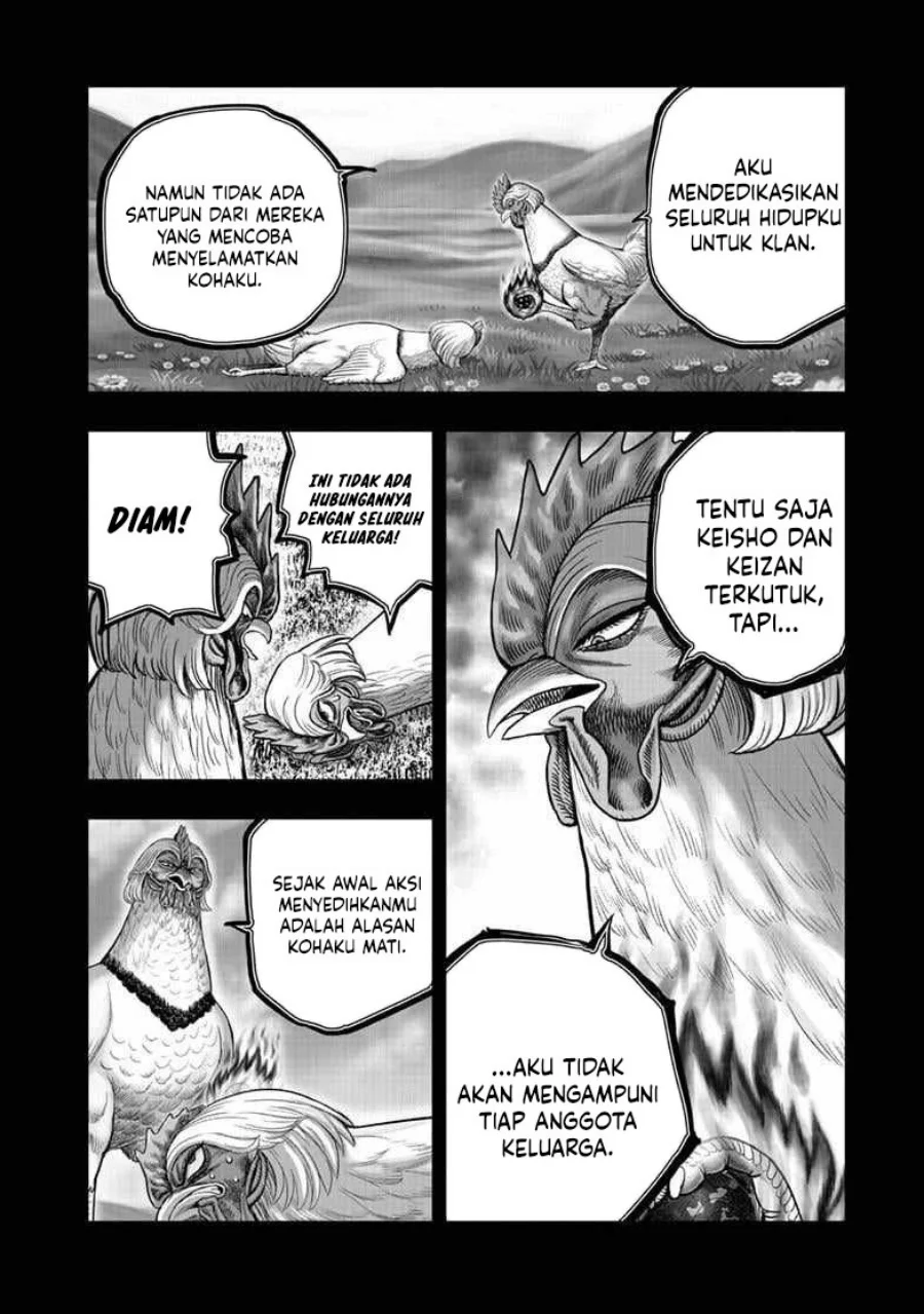 Rooster Fighter Bab 55 halaman 9