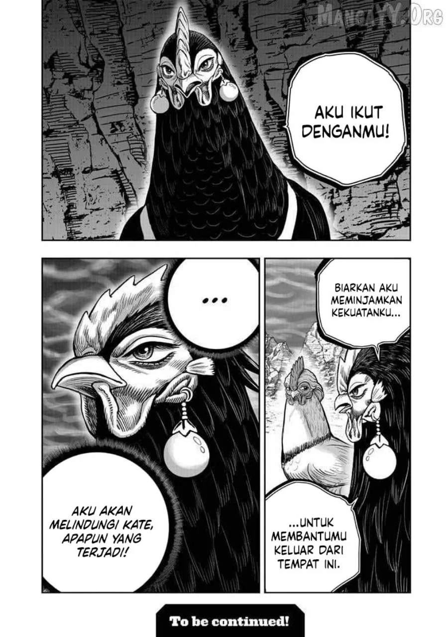 Rooster Fighter Bab 55 halaman 29