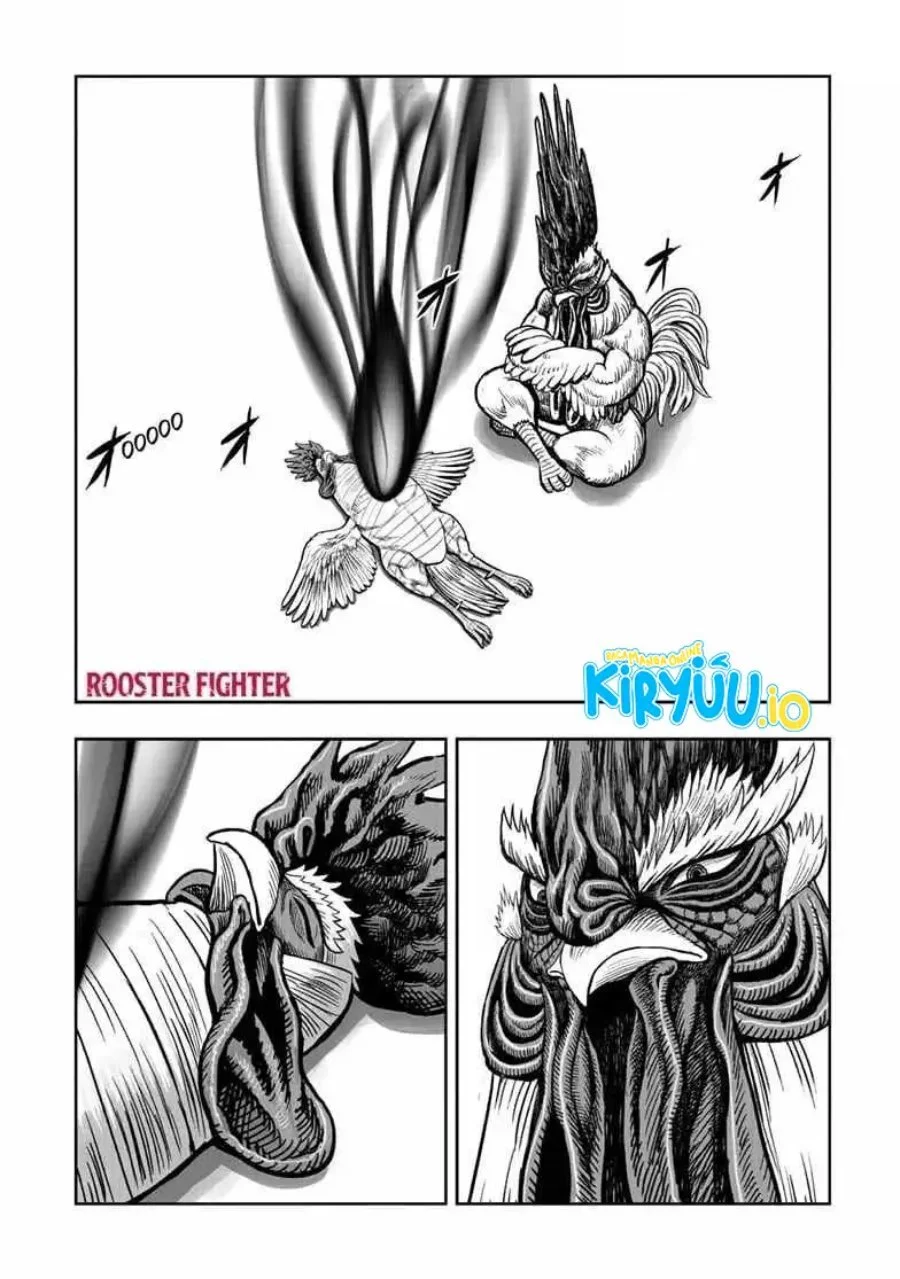 Rooster Fighter Bab 56 halaman 2