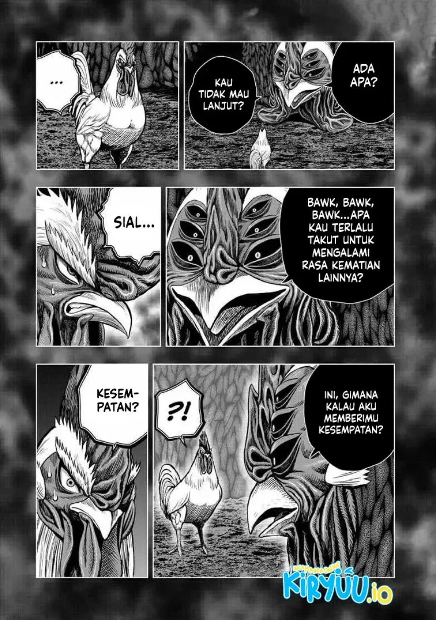 Rooster Fighter Bab 56 halaman 4