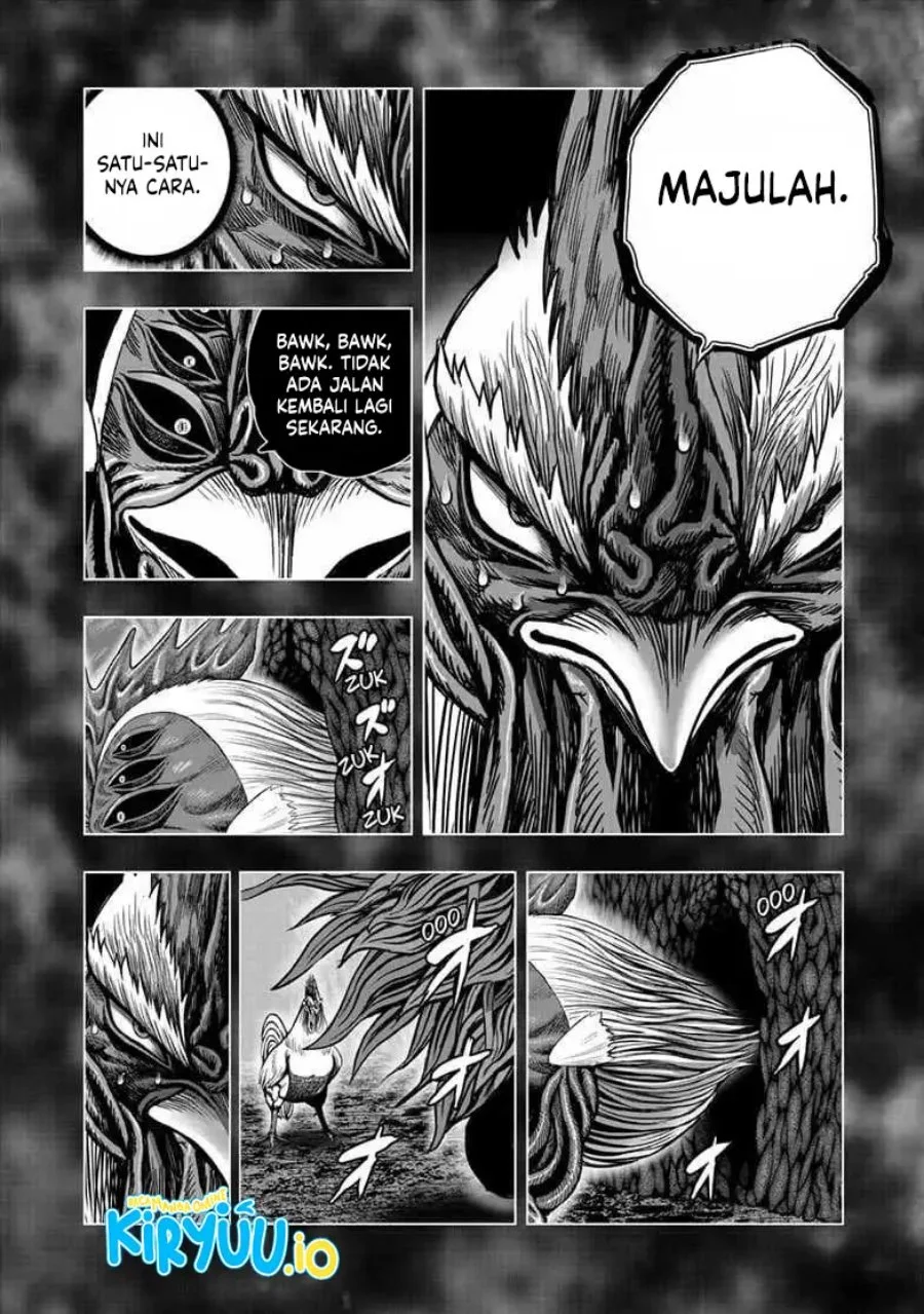 Rooster Fighter Bab 56 halaman 7
