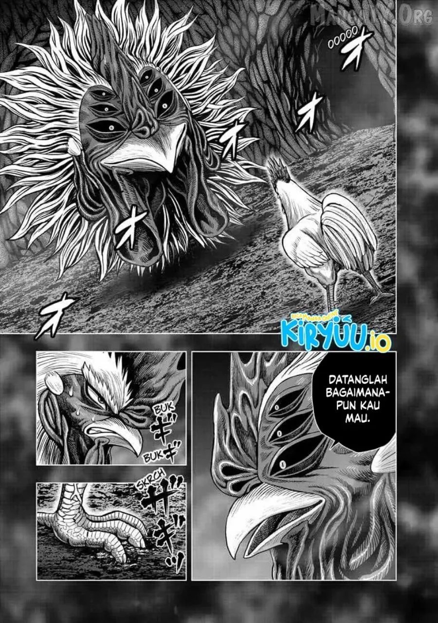 Rooster Fighter Bab 56 halaman 8