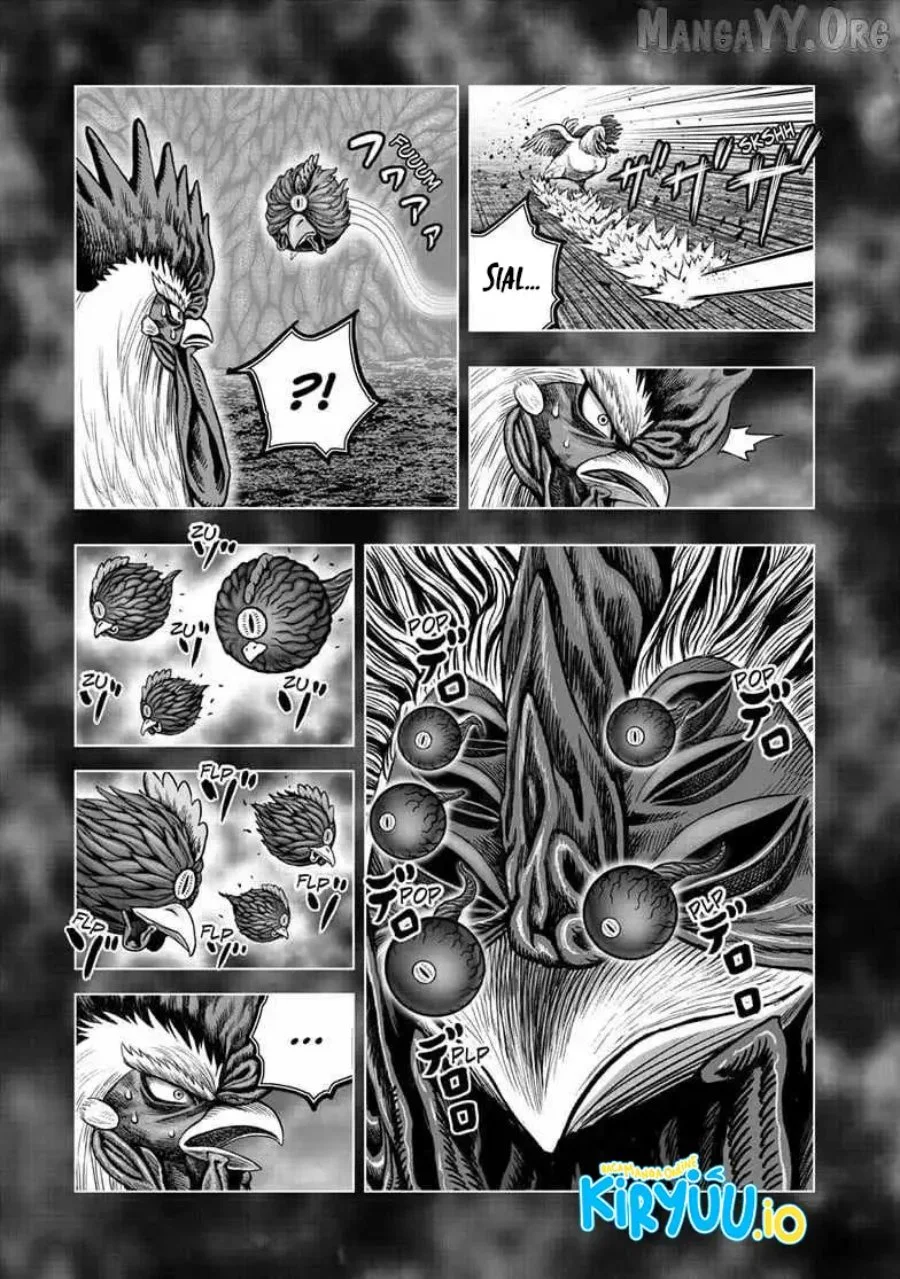 Rooster Fighter Bab 56 halaman 10