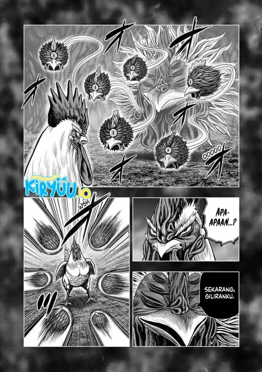 Rooster Fighter Bab 56 halaman 11