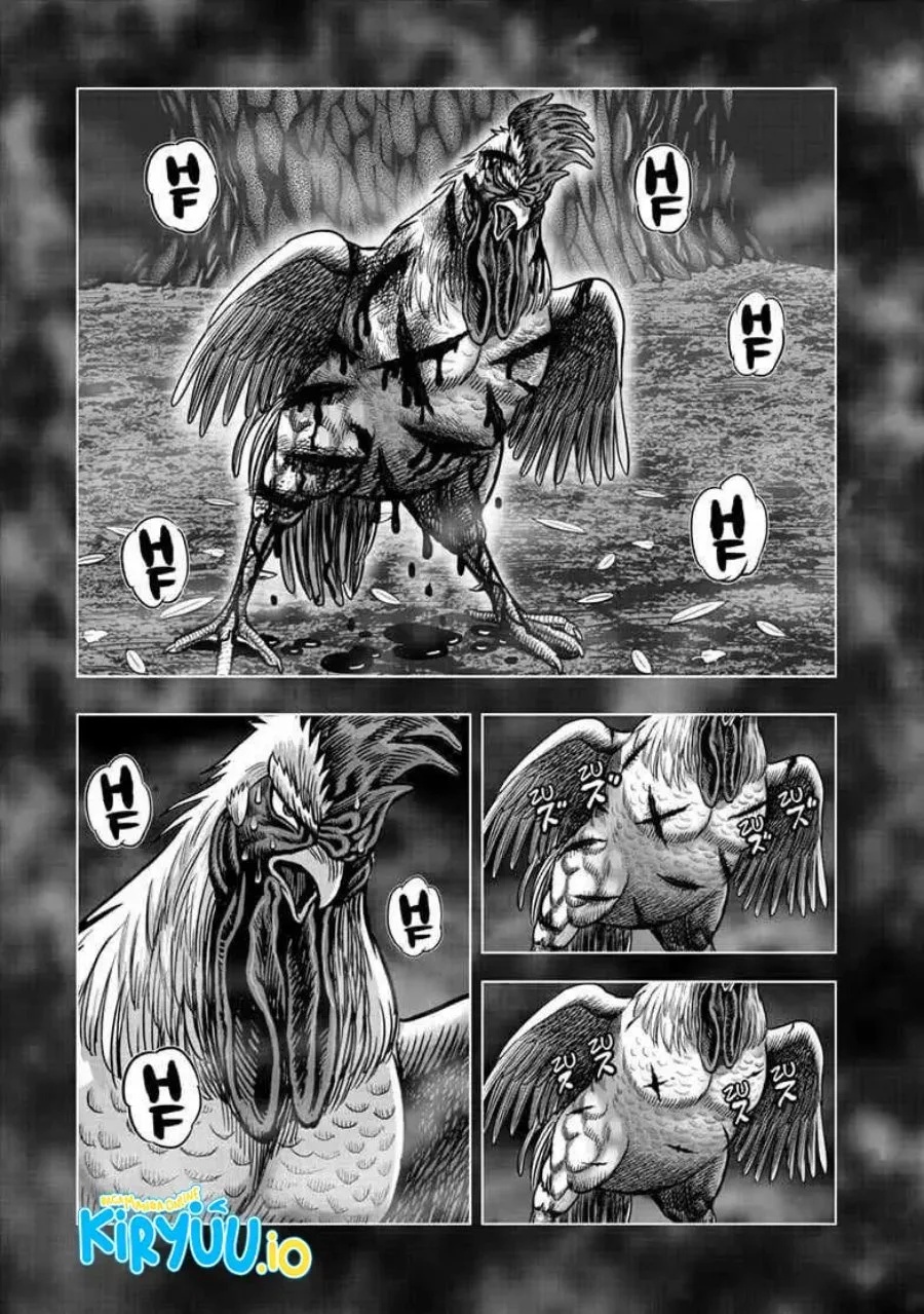 Rooster Fighter Bab 56 halaman 14